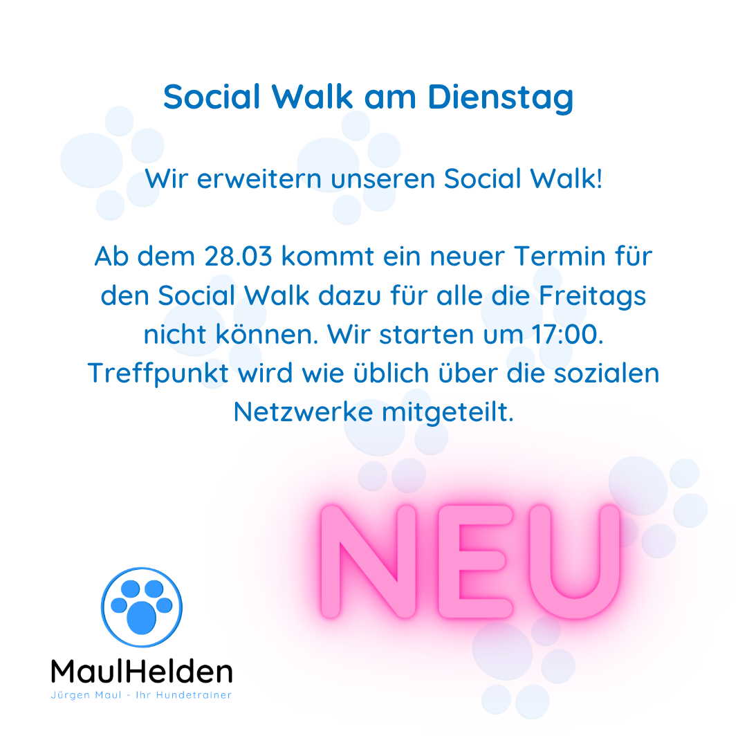 NEU: Social Walk Dienstag